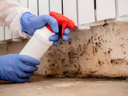 Best Commercial Mold Inspection  in Pinewood Estates, TX